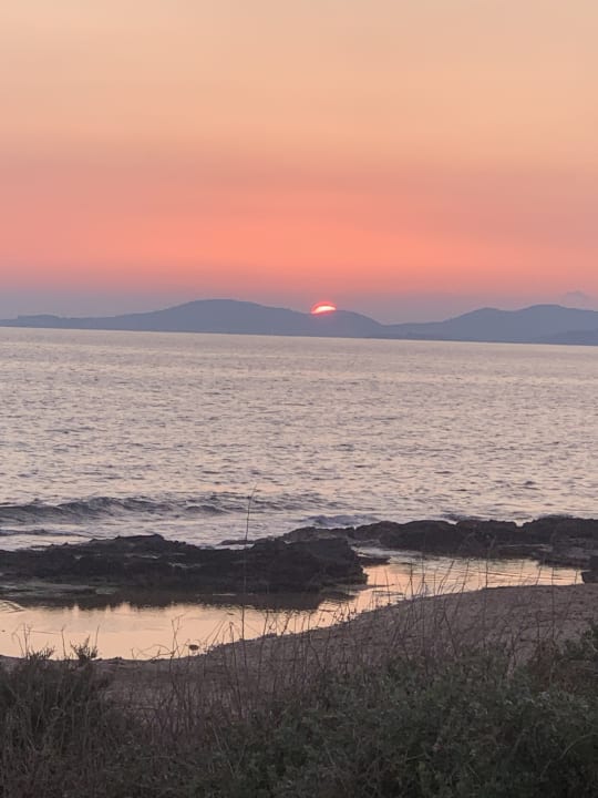 Ausblick AluaSoul Palma