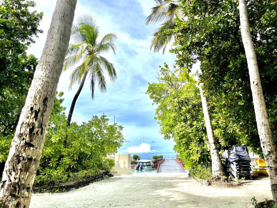 Lobby Ellaidhoo Maldives by Cinnamon