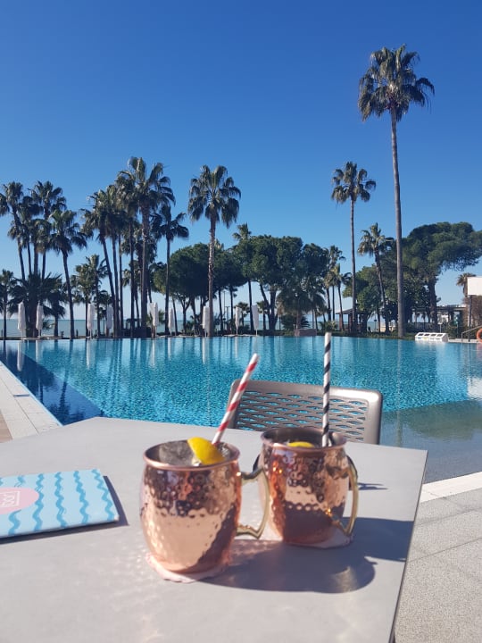 Gastro Acanthus Cennet Barut Collection