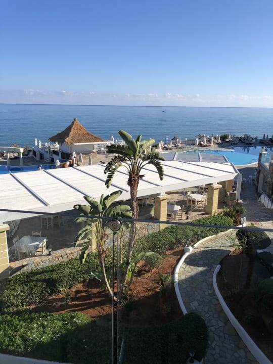 Zimmer Alexander Beach Hotel & Village Resort