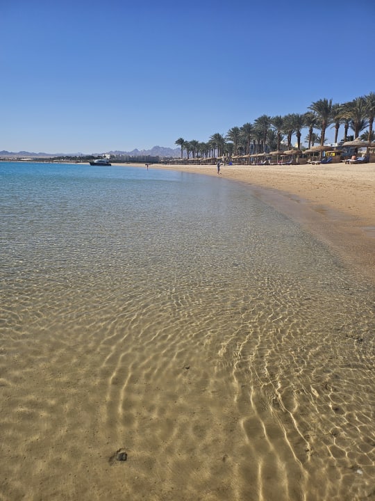 Strand Solymar Soma Beach Soma Bay Holidaycheck Hurghada Safaga Gypten