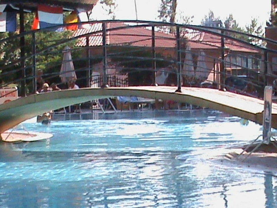 Übersichtlich HVD Club Bor