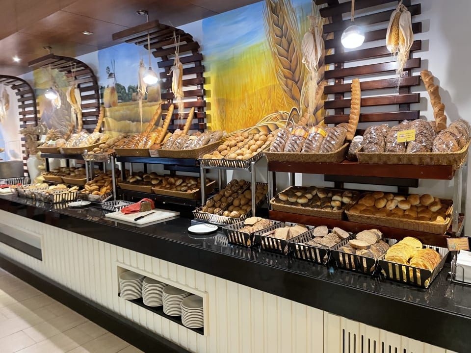 Gastro Paloma Oceana