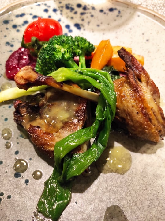 Gastro Acanthus Cennet Barut Collection