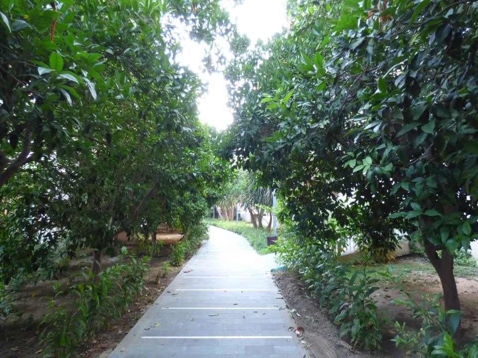 Gartenanlage Club Grand Side