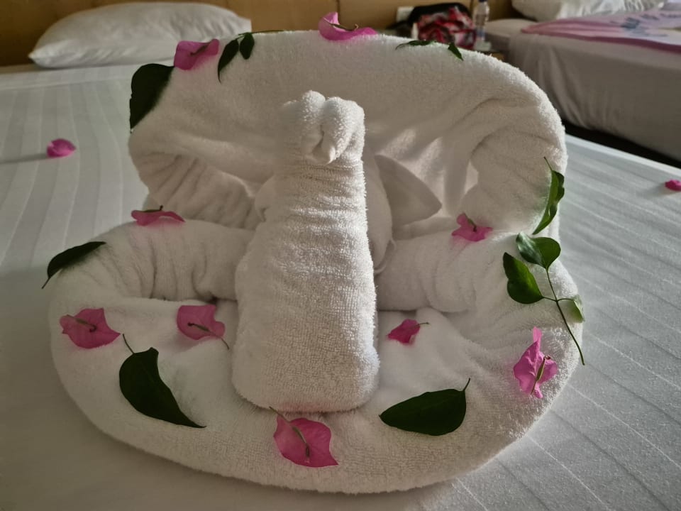 Zimmer Prima Life Makadi Resort