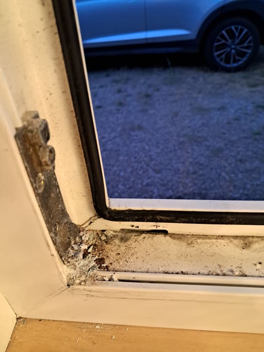 Zimmer Ferienhaus Nr. 165