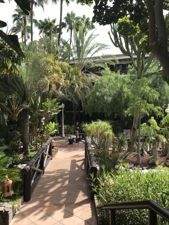 Gartenanlage Hotel Parque Tropical