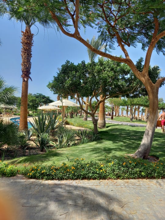 Gartenanlage Steigenberger ALDAU Beach Hotel