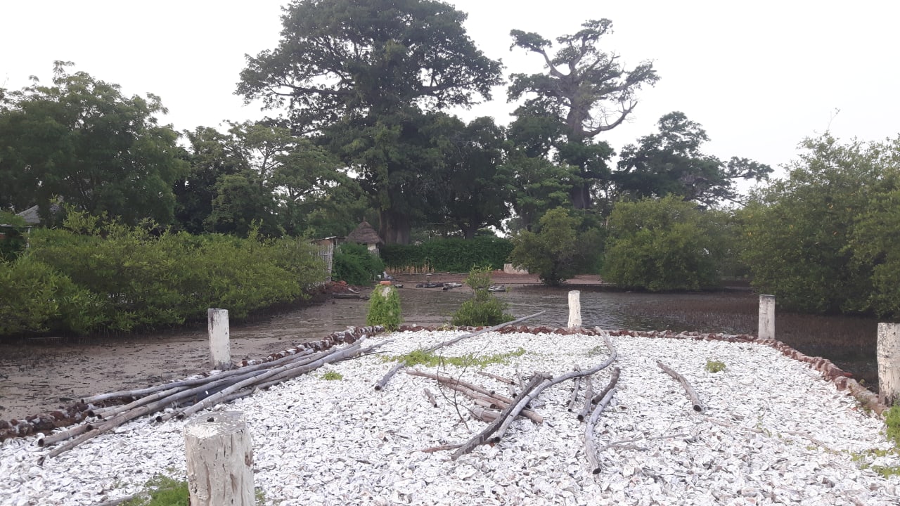 Garten Bintang Bolong Lodge