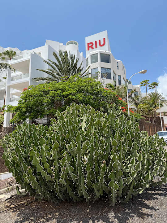 Außenansicht Hotel Riu Palace Jandia