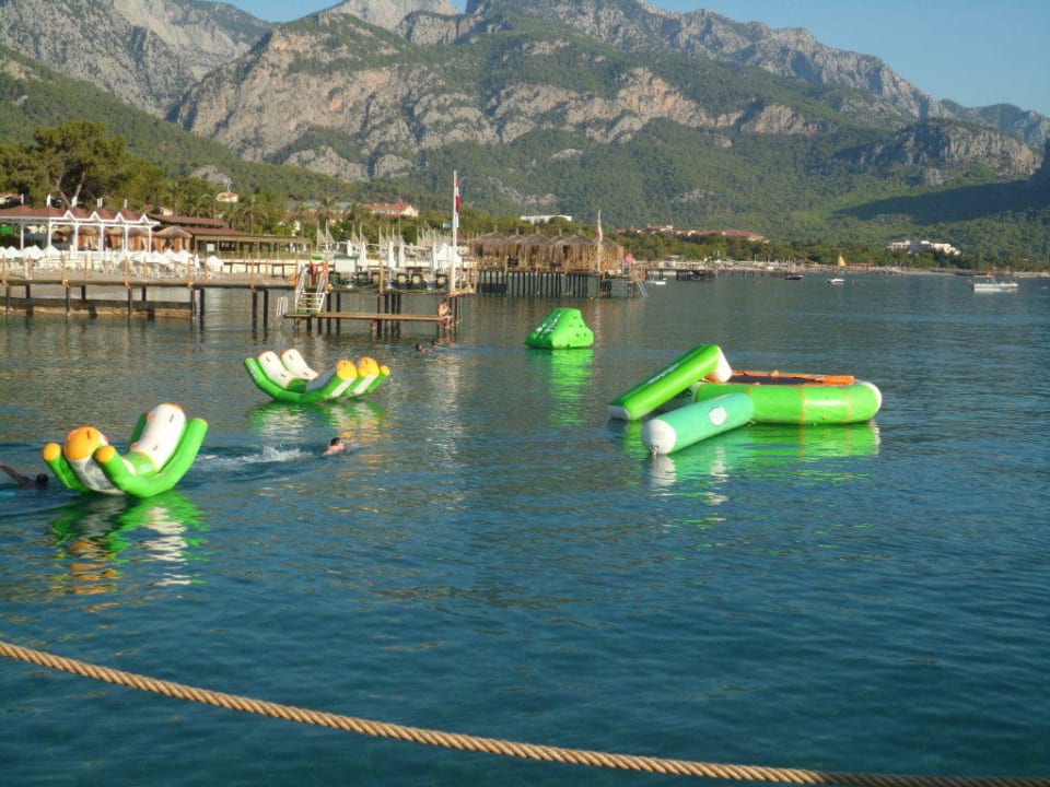 Schwimmende Spiewiese Crystal Flora Pearl Collection