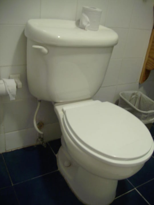 Schönes Klo whala!boca chica