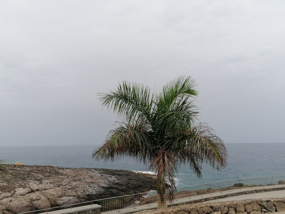 Ausblick Hotel Riu Buenavista