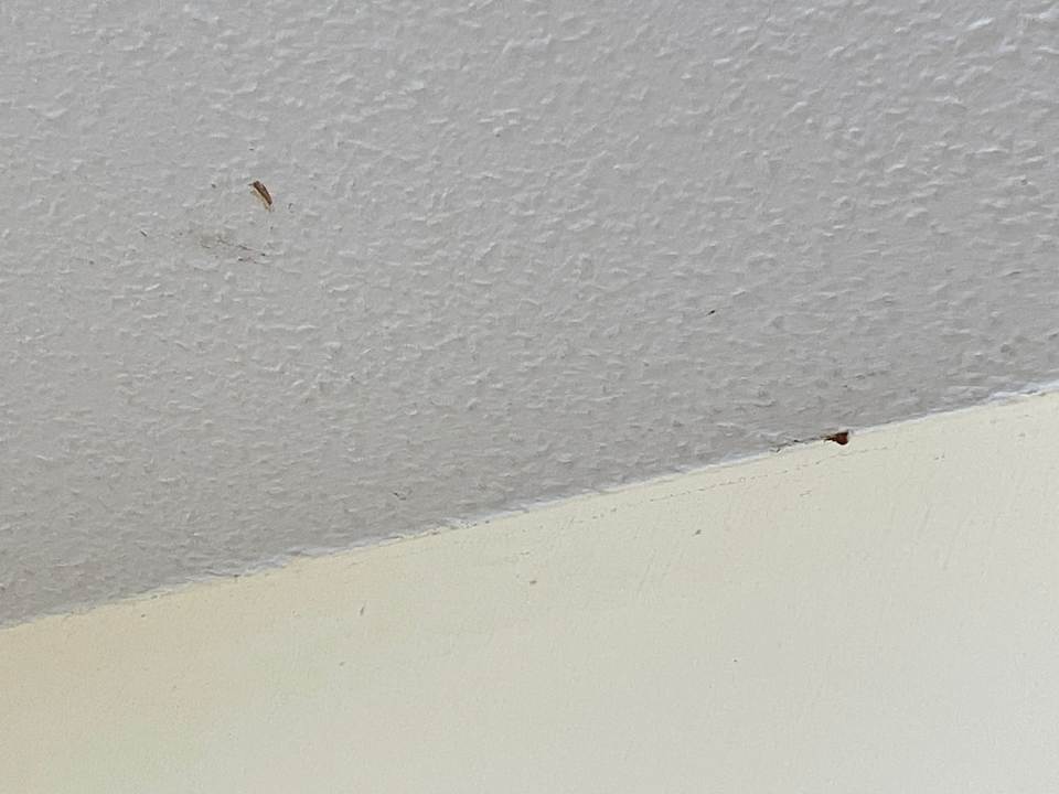 Zimmer Seehotel Schloss Klink