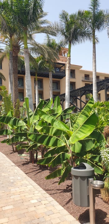 Gartenanlage Lopesan Costa Meloneras, Resort & Spa