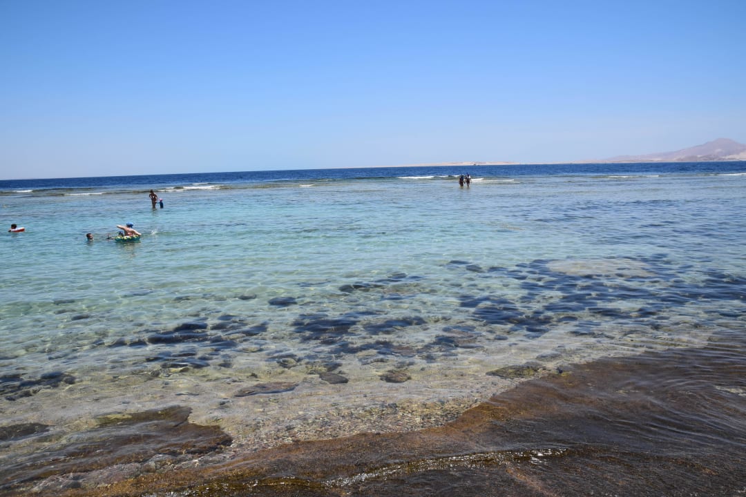  Selbsterklärend Parrotel Beach Resort