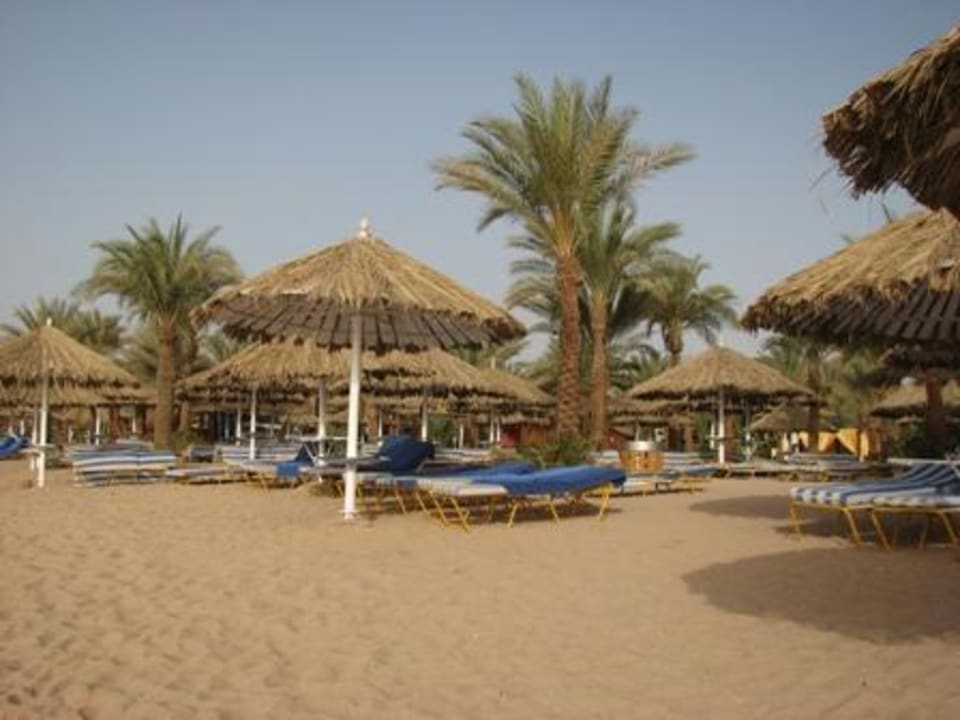 Strand mit viel Platz JAZ Fayrouz