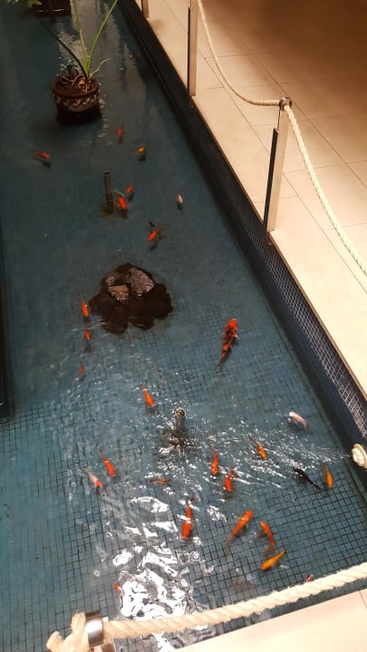 Eingangsbereich Kn Arenas del Mar Hotel