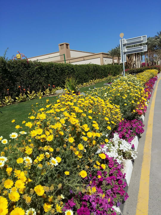 Am Eingang vom Hotel Marina Resort Port Ghalib, a member of Radisson Individuals