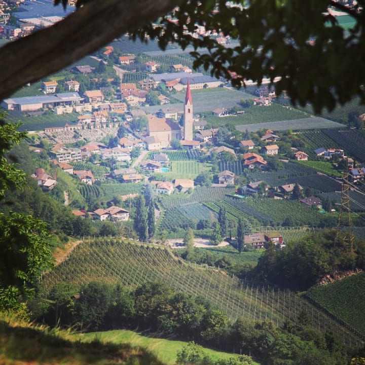Ausblick Hotel Der Waldhof
