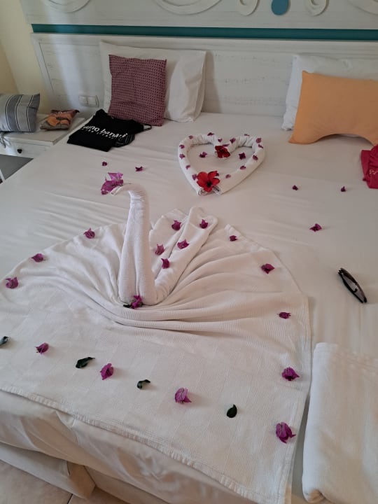 Zimmer Asteria Family Resort Side