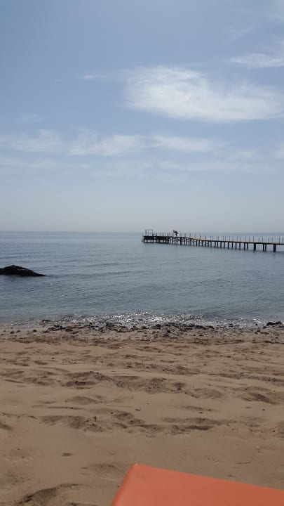 Steg Rohanou Beach Resort