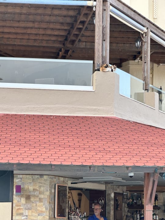 Gastro Gaia Garden Hotel