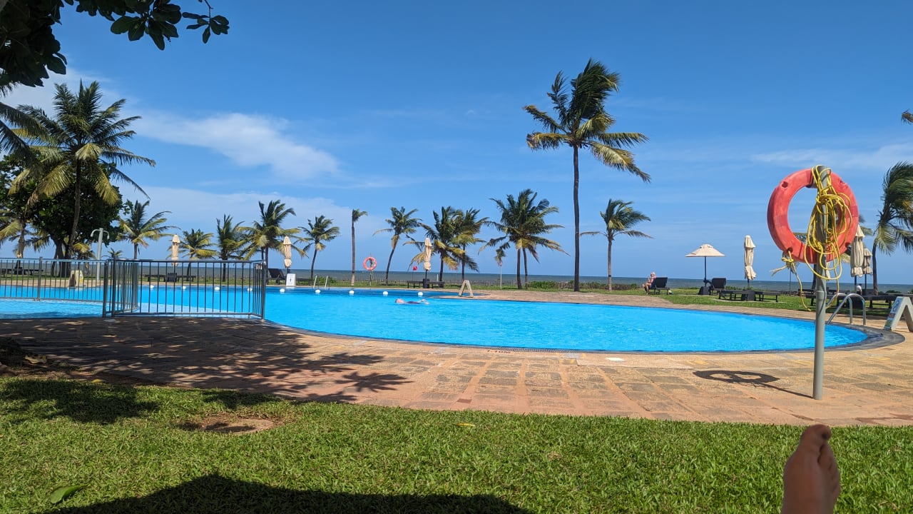 Pool Club Hotel Dolphin