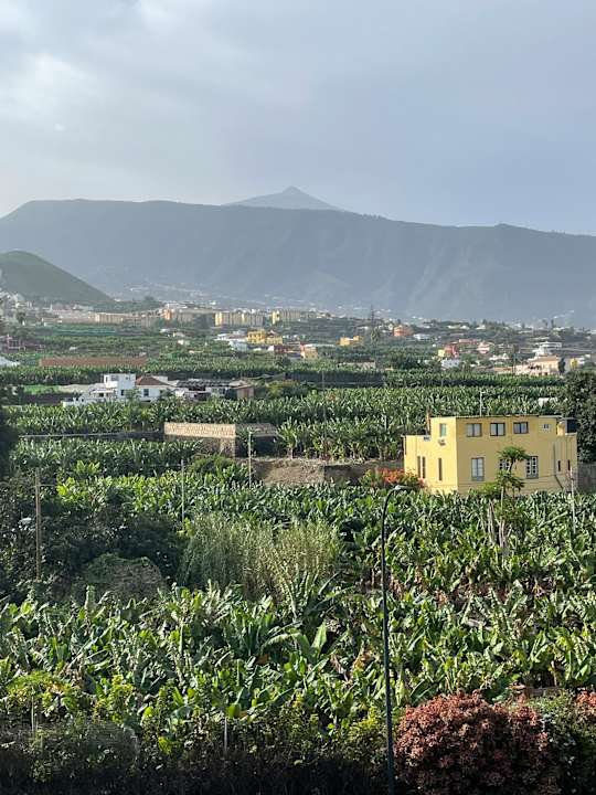 Ausblick AluaSoul Orotava Valley
