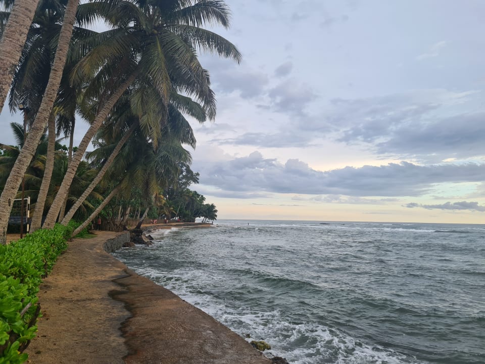 Strand Earl’s Reef Beruwala