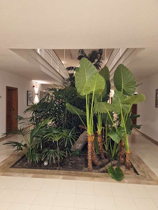 Sonstiges allsun Hotel Eden Playa