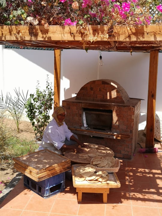 Gastro Shams Safaga Resort