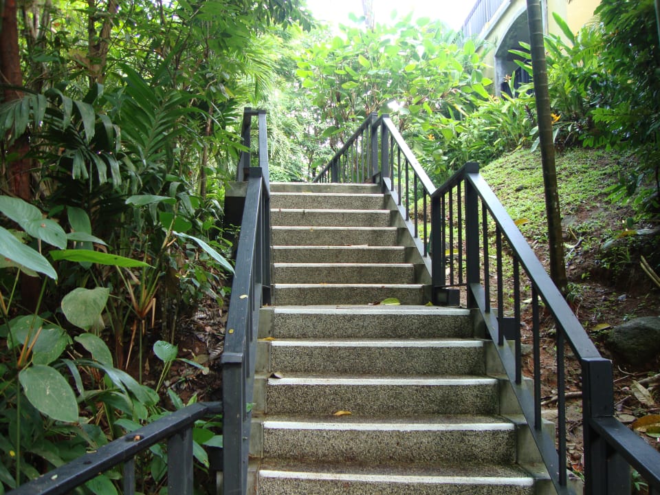 Gartenanlage Moracea by Khao Lak Resort