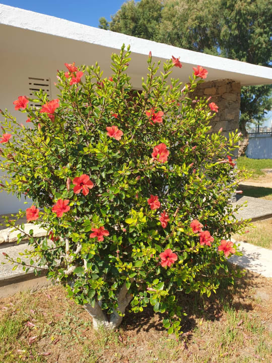 Ausblick Civitel Creta Beach