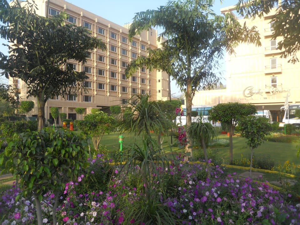 Hotel mit Garten Clarks Shiraz Hotel