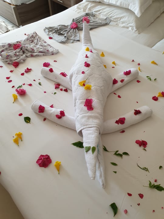 Zimmer Iberostar Waves Mehari Djerba