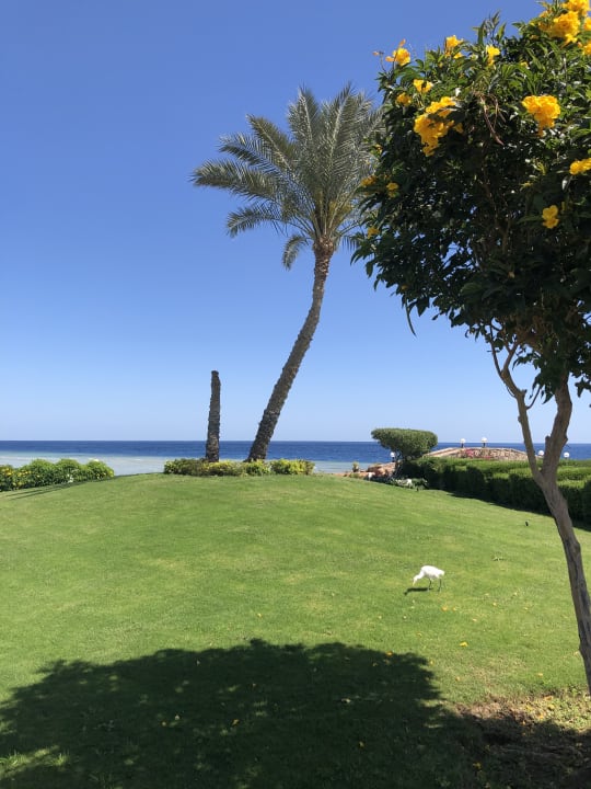 Garten Three Corners Equinox Beach Resort