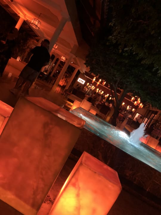 Gastro Meliá Caribe Beach Resort-All Inclusive