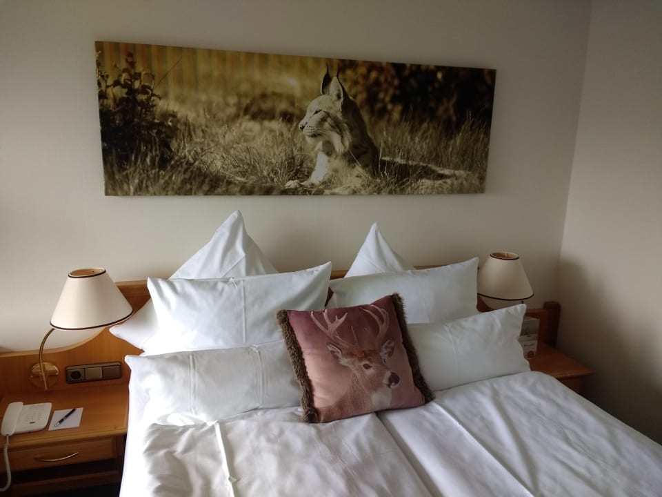 Zimmer Hotel Sonnenhof