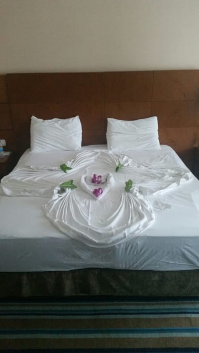 Zimmer Hotel Pine Bay Holiday Resort