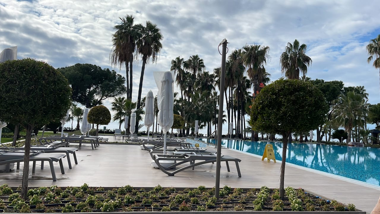 Pool Acanthus Cennet Barut Collection