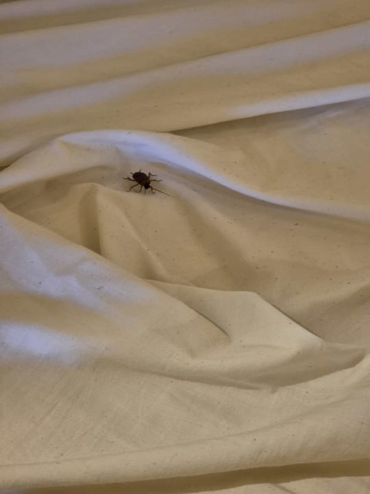 Zimmer Grand Waterworld Makadi & Family Star Makadi