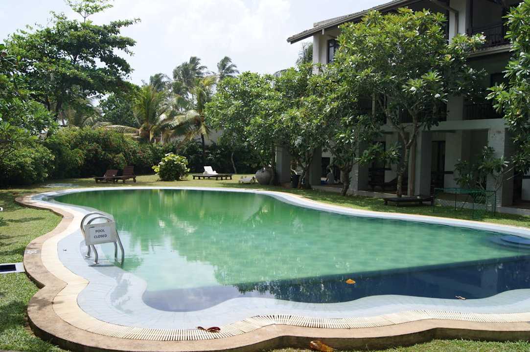 Algenpool und Chlor ein Fremdwort Earl’s Reef Beruwala