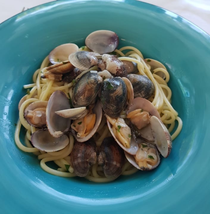 Gastro Casa Major Hotel & Appartamenti Cervia