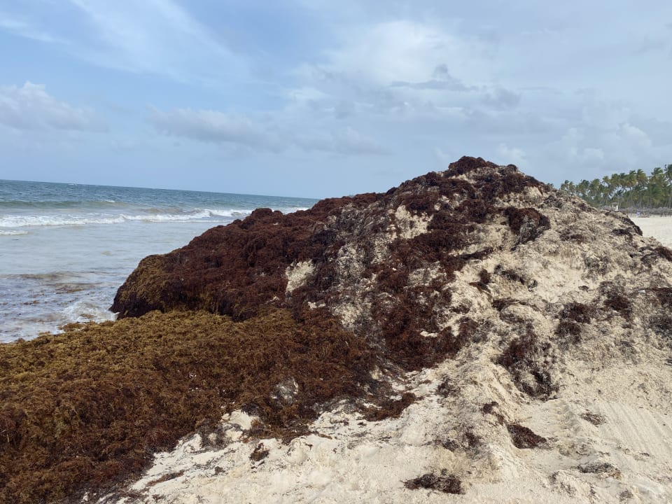 Strand Caribe Deluxe Princess