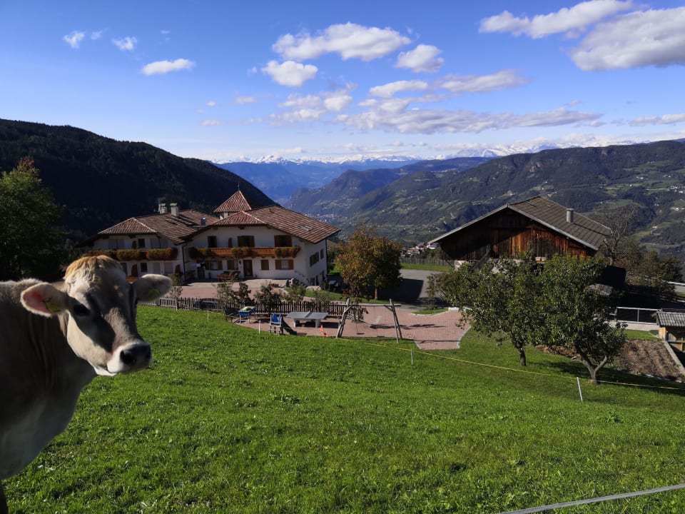 Außenansicht Hotel Tschantnaihof