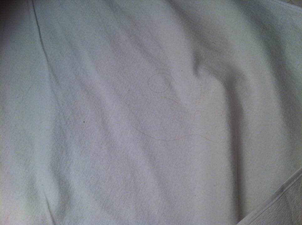 Fremde Haare im Bett Boutique 003 Köln am DOM, Trademark Collection by Wyndham