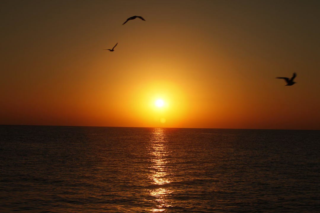 Sonnenaufgang Beach Albatros Resort