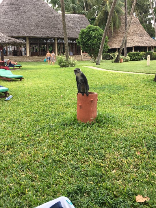 Gartenanlage Neptune Paradise Beach Resort & Spa